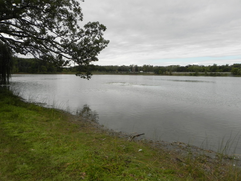 Woodruff Lake Brighton Michigan